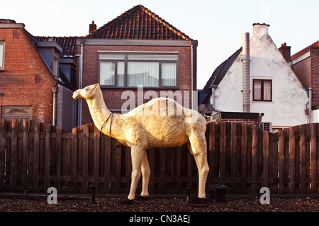 Model of camel outside house