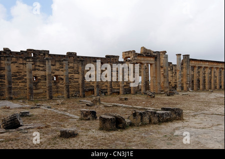 View of the south gate and colonnaded portico of the Gymnasium and Forum which was originally built by the ancient Greeks Stock Photo