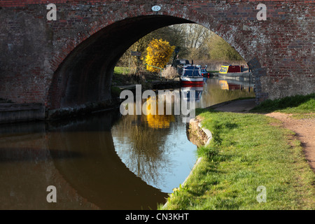 The Worcester Birmingham Canal near Alvechurch, Worcestershire Stock Photo