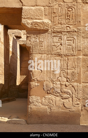 Hieroglyphics on the walls of Luxor Temple, Luxor, Egypt Stock Photo