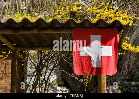 Flag, Sonlerto, Bavona valley, Canton Ticino, Switzerland Stock Photo