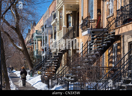 Canada, Quebec province, Montreal, the Plateau Mont Royal in winter, street and traditional houses with outside iron stairs Stock Photo