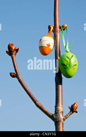 easter eggs on conker branches and buds Stock Photo