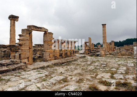 Cyrene. Libya. View of the remains of the Western Stoa which originally was barn-like building with ridged roof supported on Stock Photo