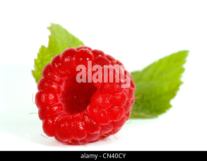Red raspberry with green leaves on the withe background Stock Photo