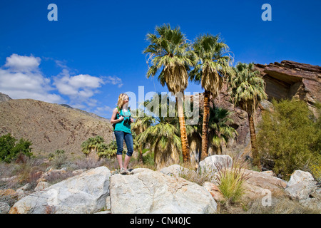 A hiker in Murry Canyon, Indian Canyons, near Palm Springs, California Stock Photo