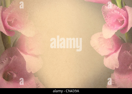 Vintage vignette with blank paper and floral corners, sepia. Retro  background with abstract pattern. The basis for design or text Stock Photo  - Alamy