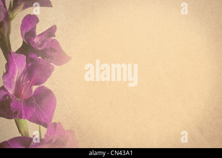 Vintage vignette with blank paper and floral corners, sepia. Retro  background with abstract pattern. The basis for design or text Stock Photo  - Alamy