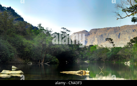 lake in deep forest, panorama Stock Photo