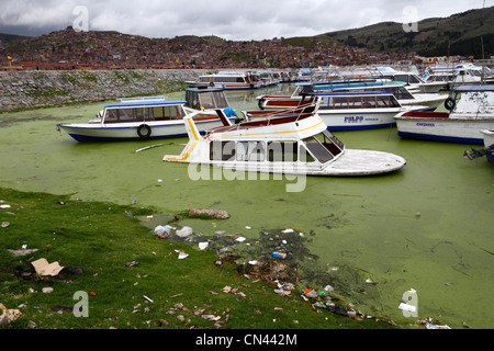 Sunken launch in duckweed ( Lemnoideae family ) and litter in harbour , Lake Titicaca , Puno , Peru Stock Photo