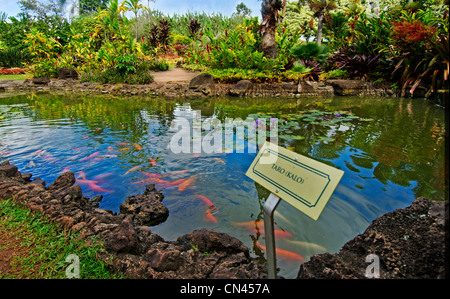 The Plantation Garden Tour at the Dole Plantation in Wahiawa, Oahu, Hawaii Stock Photo