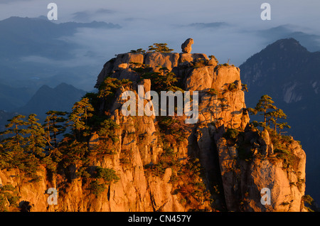 Detail of Monkey watching the Sea Peak at sunrise with fog in valley at Huangshan Yellow Mountain Peoples Republic of China Stock Photo