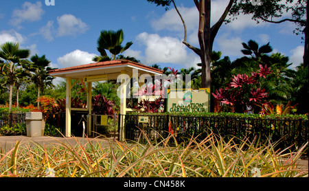 The Plantation Garden Tour at the Dole Plantation in Wahiawa, Oahu, Hawaii Stock Photo