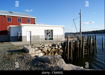 Young's Lobster Pound and pier where boats unload their catch in Belfast, Maine. Stock Photo