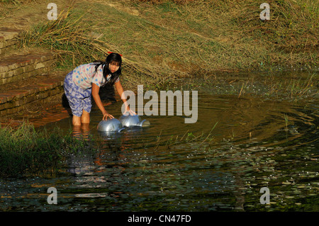 Myanmar (Burma), Rakhine State (Arakan), Mrauk U, young woman taking drinking water in a pond Stock Photo