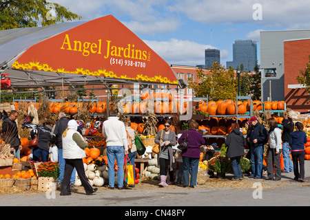 Canada, Quebec Province, Montreal, Atwater Market, the Autumn products, squash and pumpkins sold before Halloween Stock Photo