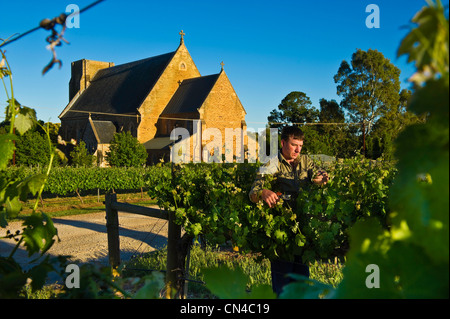 Australia, South Australia, La Clare valley, Seven hills cellar, the oldest cellar in the valley, Aloysius church Stock Photo