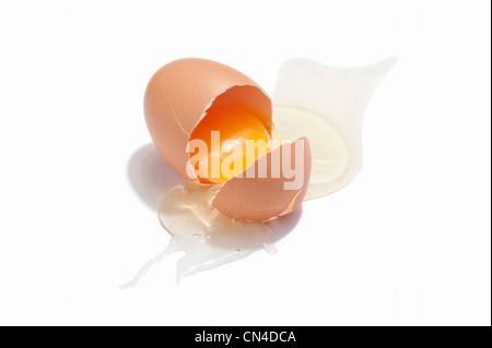 A cracked chicken egg showing yolk and white Stock Photo
