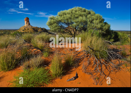 Australia, Northern Territory, Simpson desert, Chambers Pillar Historical Reserve, Chambers Pillar Stock Photo