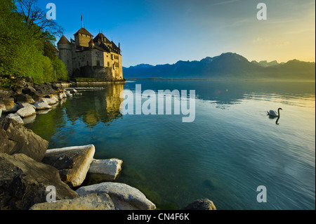 Suisse, Canton of Vaud, Leman lake, Chillon castle at the south of Montreux Stock Photo