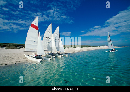 France, Finistere, Archipel des Glenan (Glenan archipelago), catamaran sailing school on the beach of the island of Loch Stock Photo