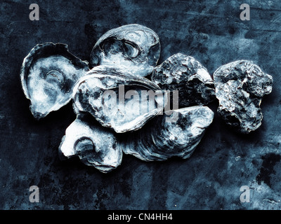 Heap of empty oyster shells Stock Photo