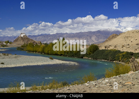 India, Jammu and Kashmir State, Ladakh Region, Himalayan foothills, Hemis village Stock Photo