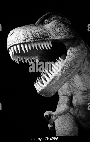 Menacing Tyrannosaurus Rex dinosaur at night Stock Photo