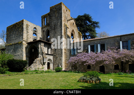 France, Aude, St Martin le Vieil, the former Cistercian abbey of Villelongue and guesthouse Stock Photo