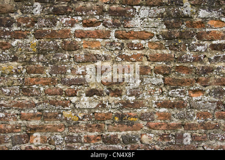 Part of 300 years old brick stone wall overgrown with lichens and moss Stock Photo