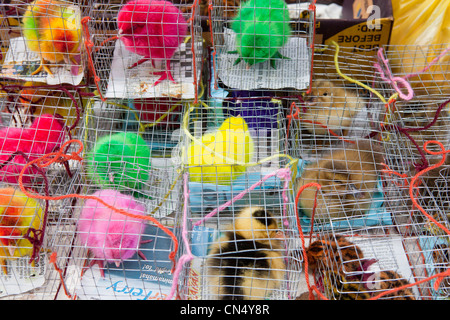 Philippines, Luzon island, Manila, chinatown Stock Photo