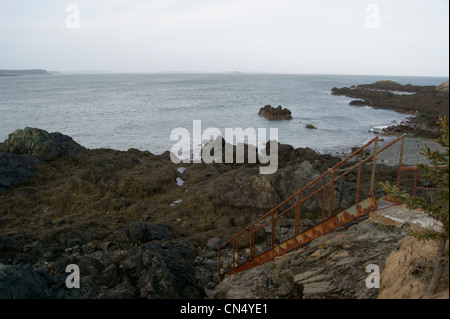 Rusty ladder on a cliff providing beach access at low tide, Campobello Island, Bay of Fundy, New Brunswick, Canada. The Bay of F Stock Photo