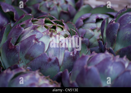 Fresh artichokes on display Stock Photo