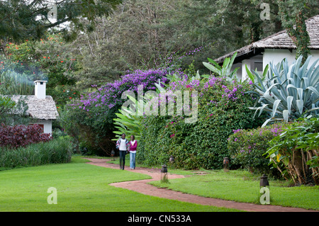 Tanzania, Arusha region, Ngorongoro District, The Plantation Lodge is a charming lodge located in Karatu, near the Ngorongoro Stock Photo