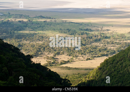 Tanzania, Arusha Region, Ngorongoro Conservation Area, listed as World Heritage by UNESCO, panoramic view over the Ngorongoro Stock Photo