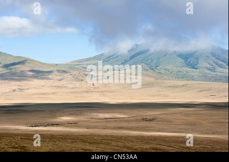 Tanzania, Arusha Region, Ngorongoro Conservation Area, listed as World Heritage by UNESCO, on the edge of the Ngorongoro Crater Stock Photo