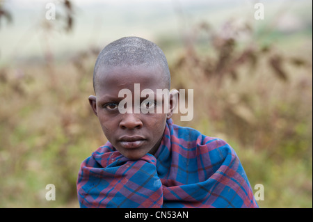 Tanzania, Arusha Region, Ngorongoro Conservation Area, listed as World Heritage by UNESCO, on the edge of the Ngorongoro Stock Photo