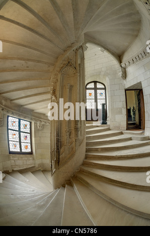 France, Loir et Cher, Loire Valley listed as World Heritage by UNESCO, Chateau de Chaumont sur Loire, the staircase Stock Photo