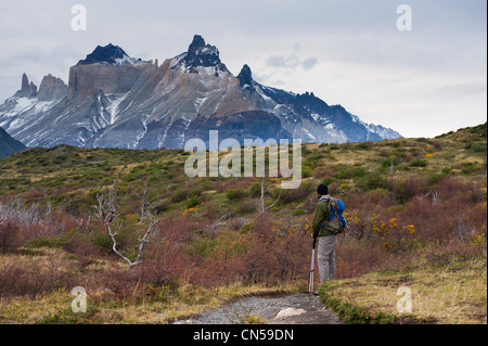 Chile, Patagonia, Magellan Region, Torres del Paine National Park, Hiker Stock Photo