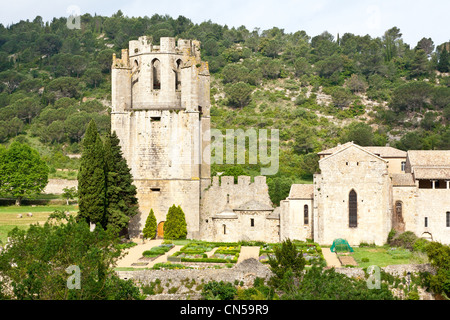 France, Aude, Lagrasse, labelled Les Plus Beaux Villages de France (The Most Beautiful Villages of France), donjon of Lagrasse Stock Photo