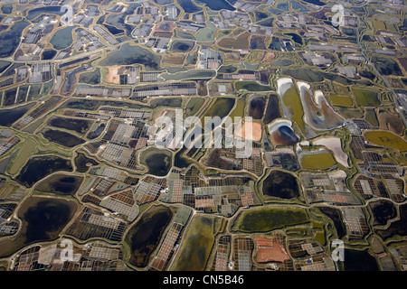 France, Loire Atlantique, Guerande, salt marshes (aerial view) Stock Photo