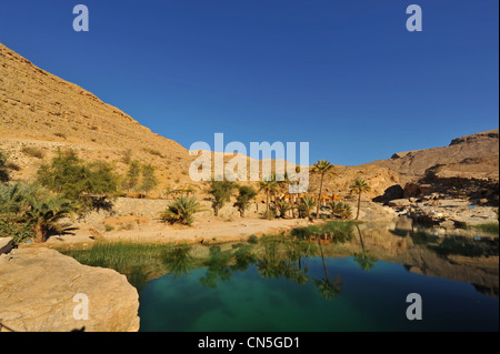 Sultanate of Oman, Ash Sharqiyah Region, Wadi Bani Khalid, natureal pools with palm trees at the edge of rocky mountains Stock Photo