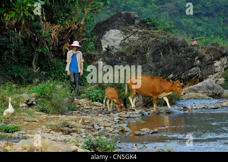 Vietnam, Ninh Binh Province, Cuc Phuong National Park, Ban Ko Muong, woman of White Thai ethnic group back from fields Stock Photo