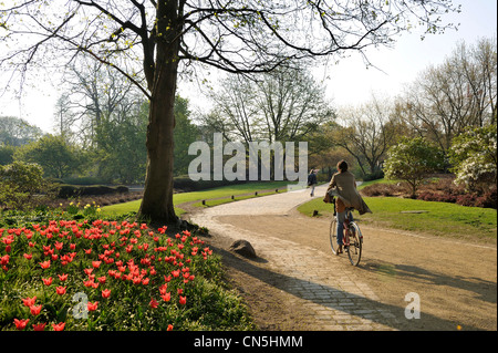 Germany, Hamburg, European Green Capital 2011, 15% of the city is covered with green areas, Planten un Blomen park, bicycle ride Stock Photo