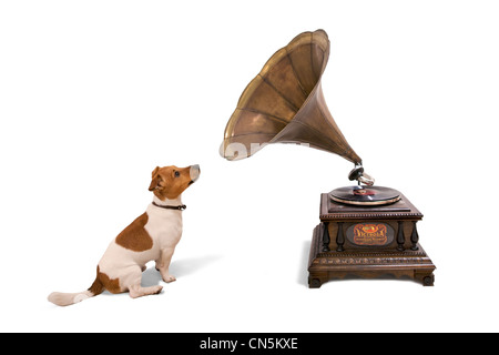 Vintage gramophone with dog, victor Stock Photo