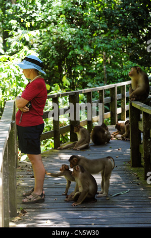 Malaysia, Borneo, Sabah State, Sepilok Orangutan Sanctuary, tourist with Southern Pig-tailed Macaque (Macaca nemestrina), in Stock Photo