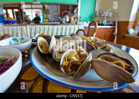 South Korea, South Chungcheong Province, Anmyeondo, Taean, plate of steamed sea shells Stock Photo