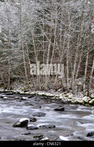 Breitenbush River, Willamette National Forest, Oregon Stock Photo - Alamy