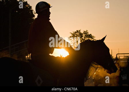 Exercise Rider On Thoroughbred Returning to Stables after Morning Workout during Derby Week at Churchill Downs in Louisvillle Stock Photo