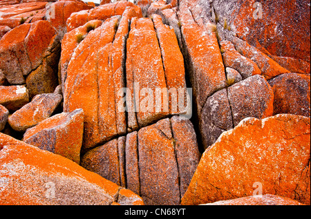 Granite rocks covered in orange lichen on the Tasmanian East coast Stock Photo